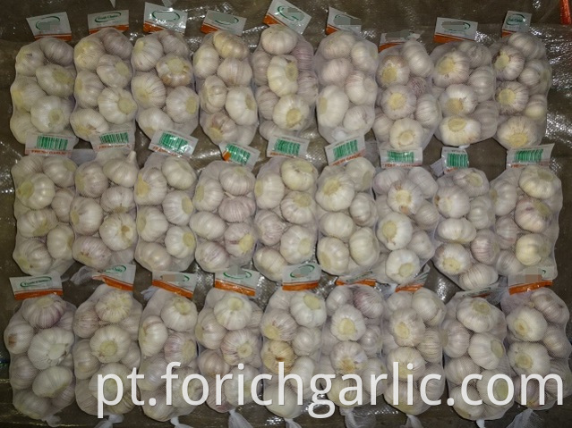 Best Quality Fresh Normal White Garlic 5 0cm